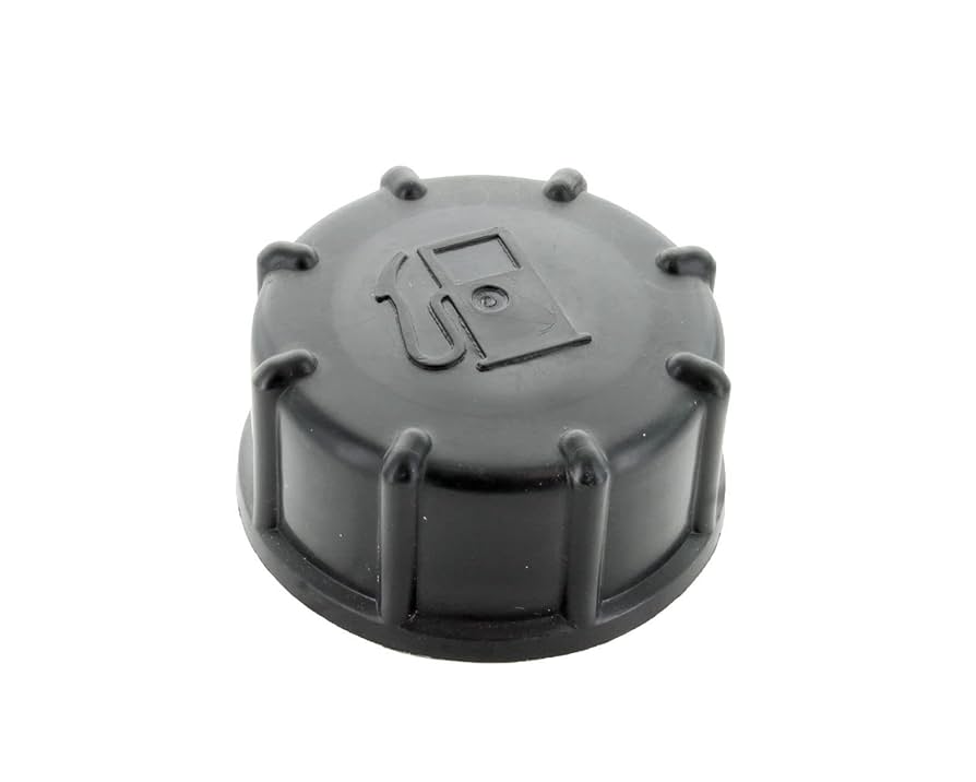 Amazon.com: Gas Tank Fuel Cap For Earthquake Ardisam E43